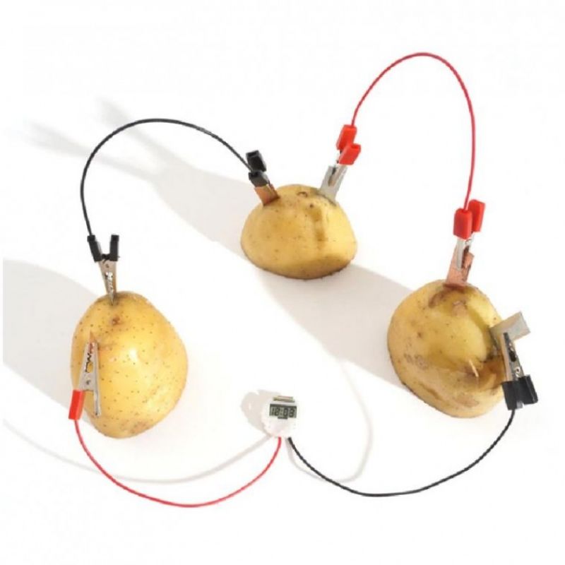 에너지키트 감자 과일 전기 과학 실험 교육 완구 키트 이미지/