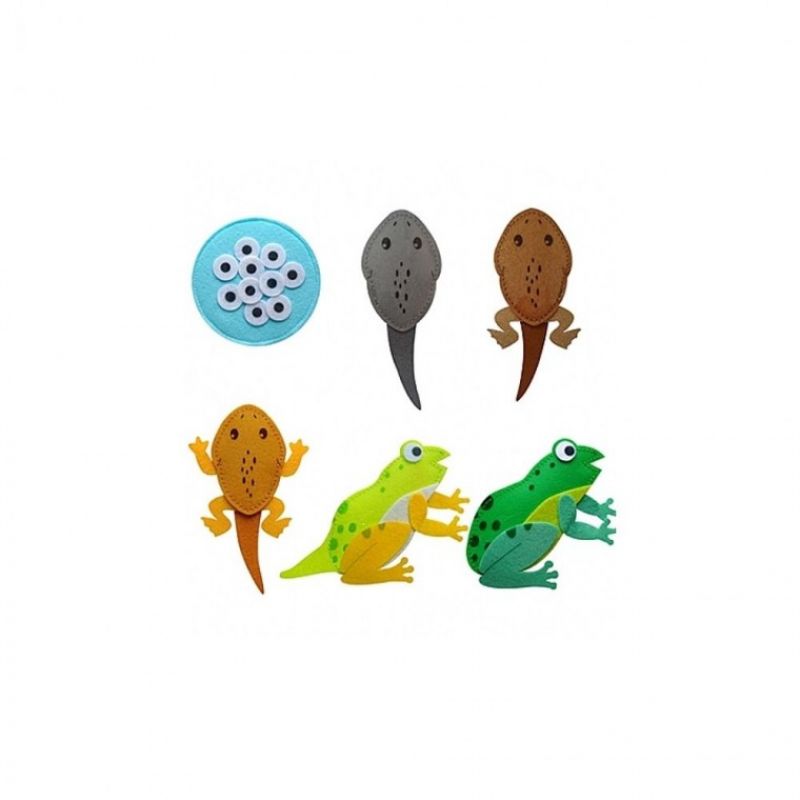 [청양] 교육자료 동물의 한살이-개구리 이미지/