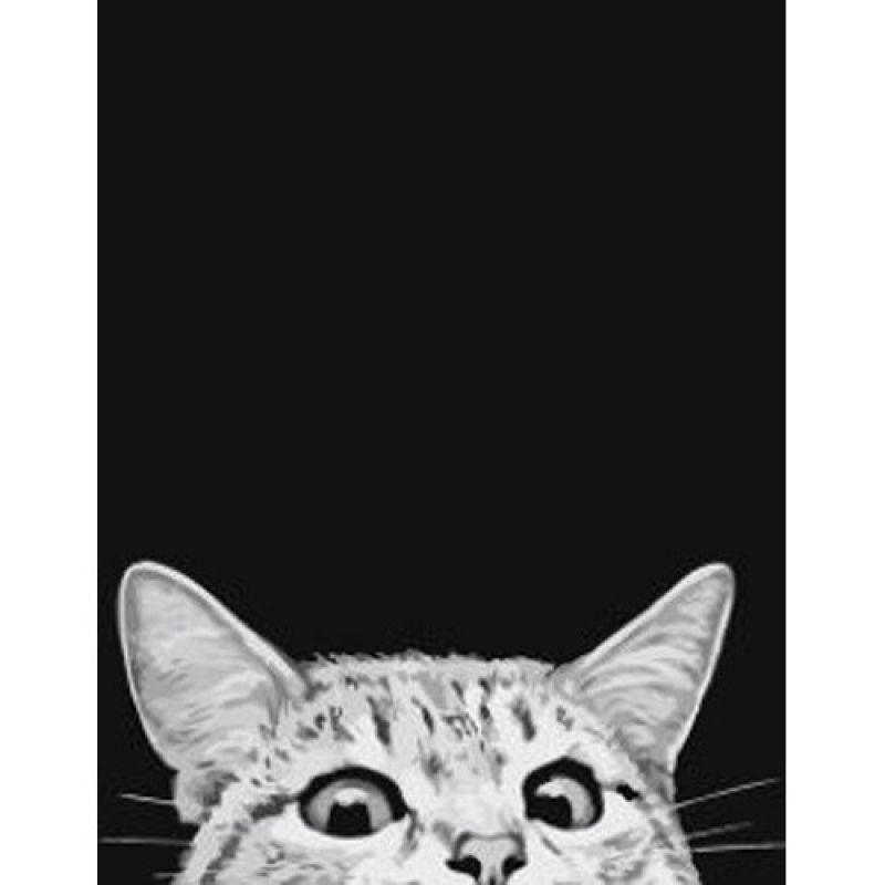 리빙듀오 DIY 쉬운 명화 유화그리기 세트 A-161 지켜보는 고양이 중형 40x50 이미지/