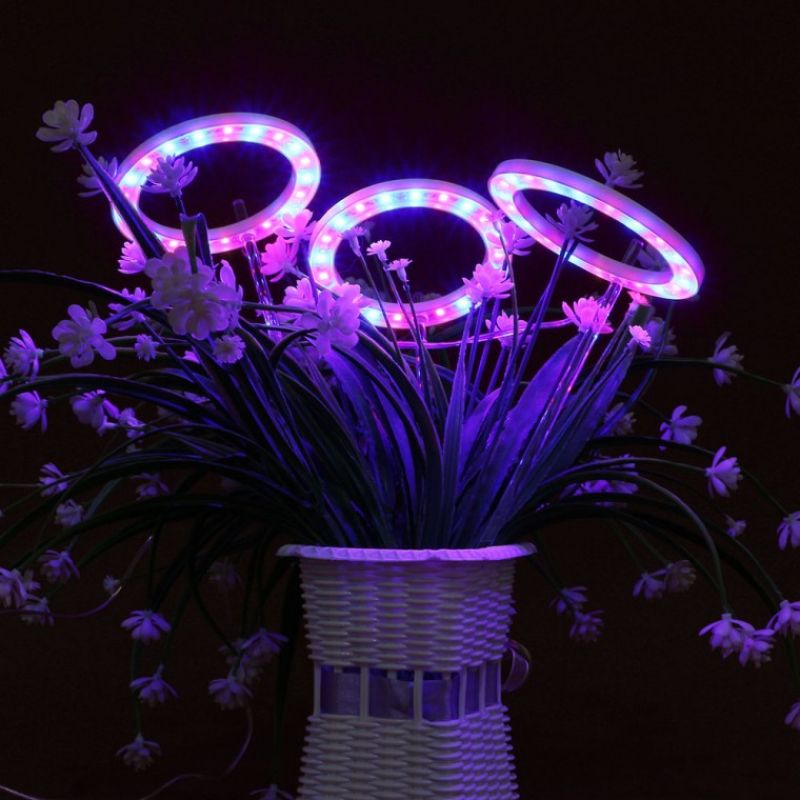 엔젤링 화분 LED 식물등(3헤드) (레드+블루) 이미지/