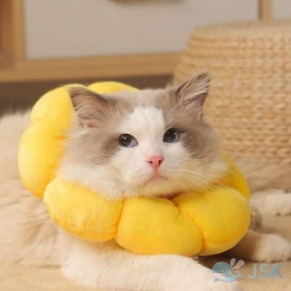 고양이 넥카라 깔대기 노랑 대L JS00602 이미지/