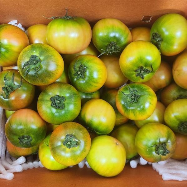 대저 짭짤이 토마토 2.5kg 로얄과 이미지/