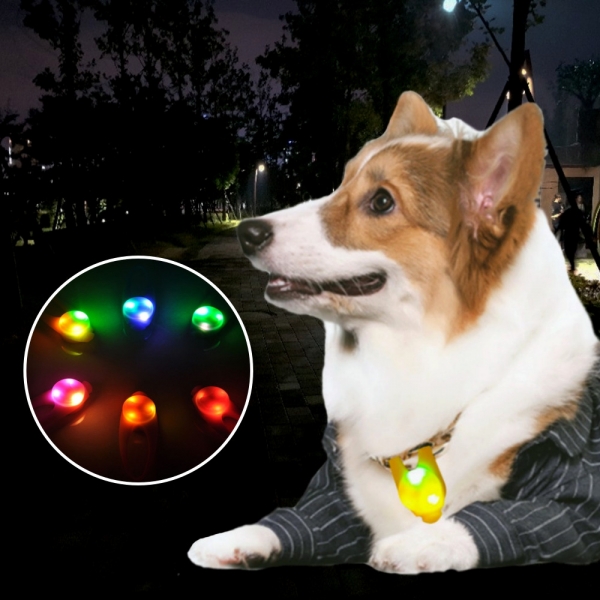 강아지 불빛 안전 야간산책 LED 펜던트 인식표 이미지/