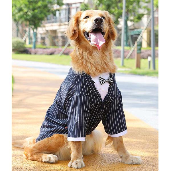 강아지 양복  중형 대형견 래브라도 사모예  여름 얇은 큰개옷 이미지/