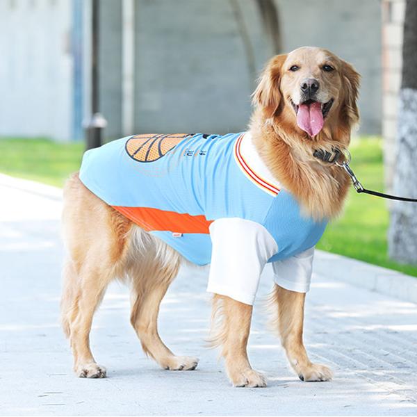 강아지 봄여름 중형 대형 큰개 애완동물 네발 옷 이미지