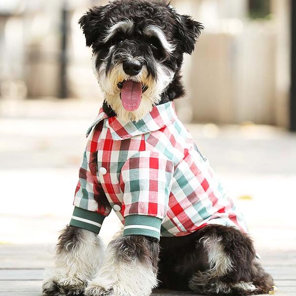 강아지 옷 여름 얇은 쉐너리 보미비 중형 소형견 반려견 셔츠 이미지