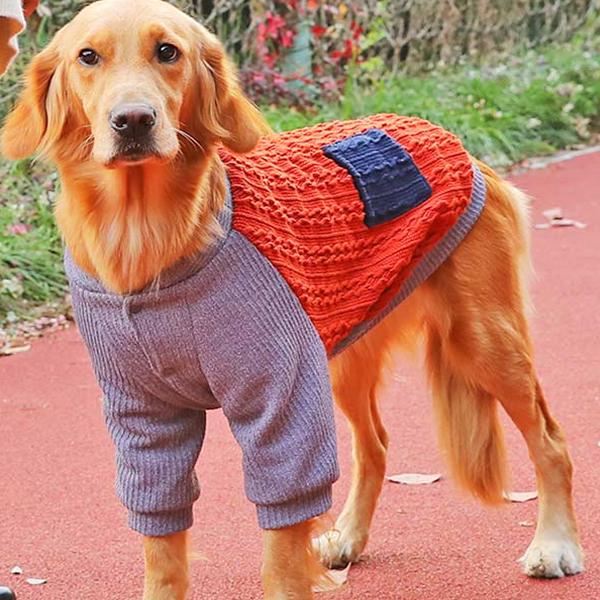 강아지 옷 스웨터 래브라도 중형 대형견  외투 이미지