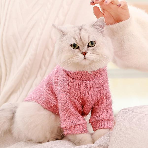고양이 옷 가을 가을 겨울 보온 스웨터 이미지