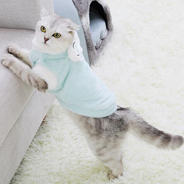 야옹이 옷 애완 동물 가을 겨울 고양이 보온 겨울옷 이미지