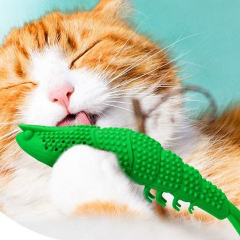 탁펫 고양이 치아관리 새우 이미지/