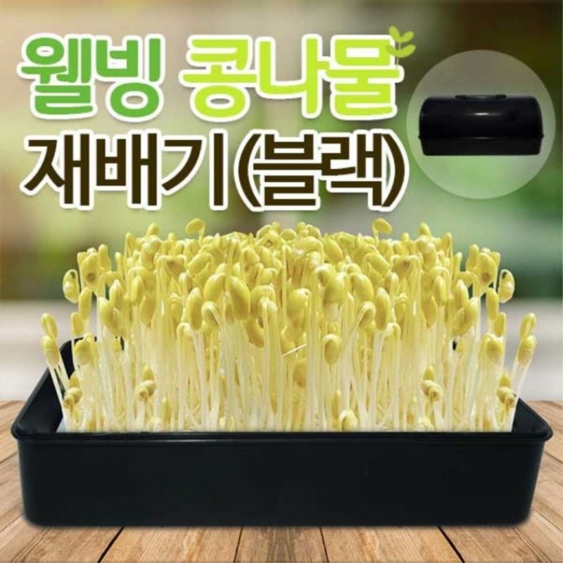 새싹 재배기 콩나물 키우기 무순 기르기 사각 블랙 이미지/