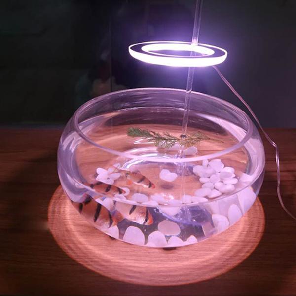 LED 엔젤등 식물성장 전구 조명 램프 다육이 선인장 식물용 엔젤링 이미지/