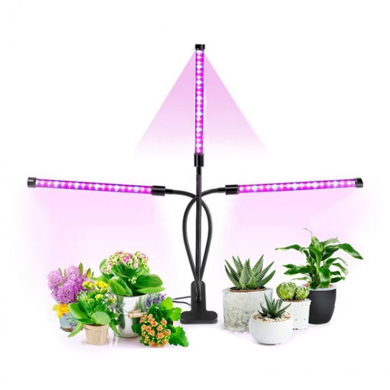 자바라식물성장LED조명 LED 식물 조명 생장등 성장 이미지/