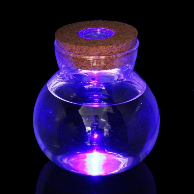마리모 키우기 LED 유리병 수경 반려식물 유리공병 이미지/